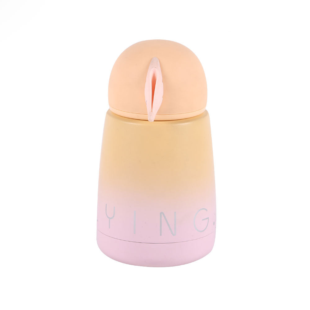 BOTTLE STEEL IR 8116