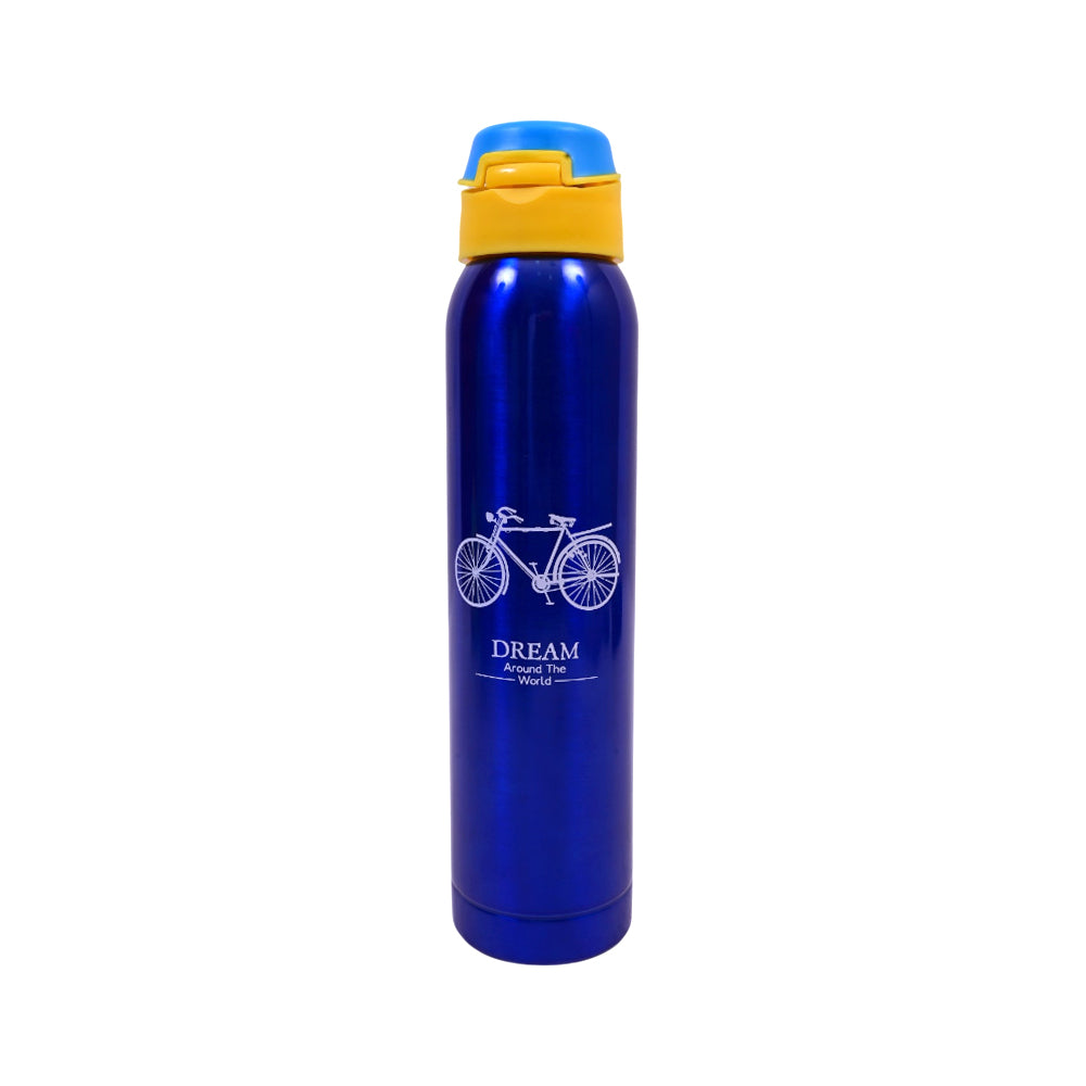 CL2506-1 WATER BOTTLE  760ML ASST