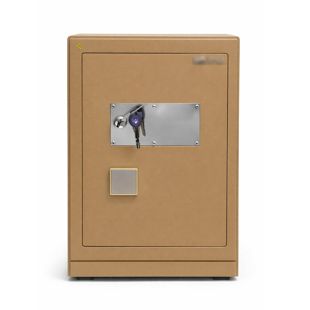 ELECTRIC SAFE IR FDX53LR BASIC