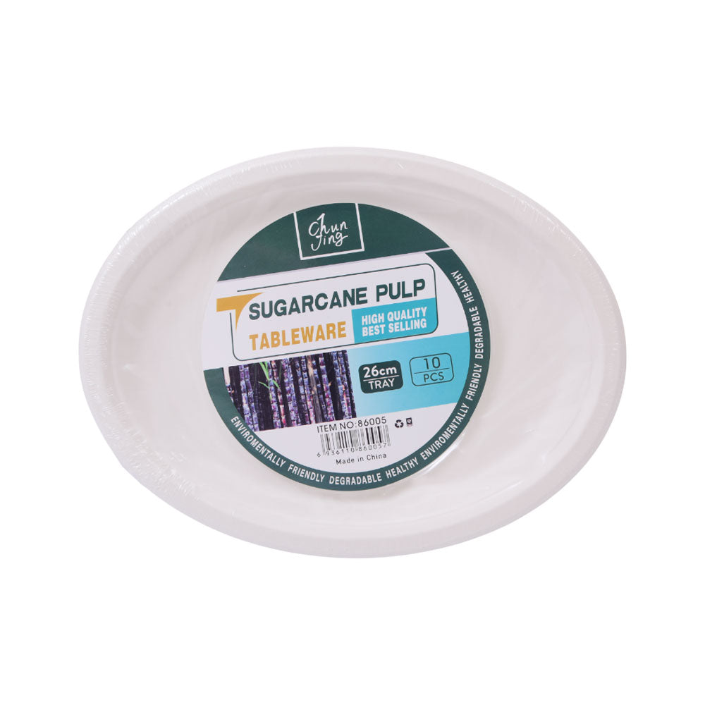 DISPOSABLE PLATE 10PC PACK IR H-19
