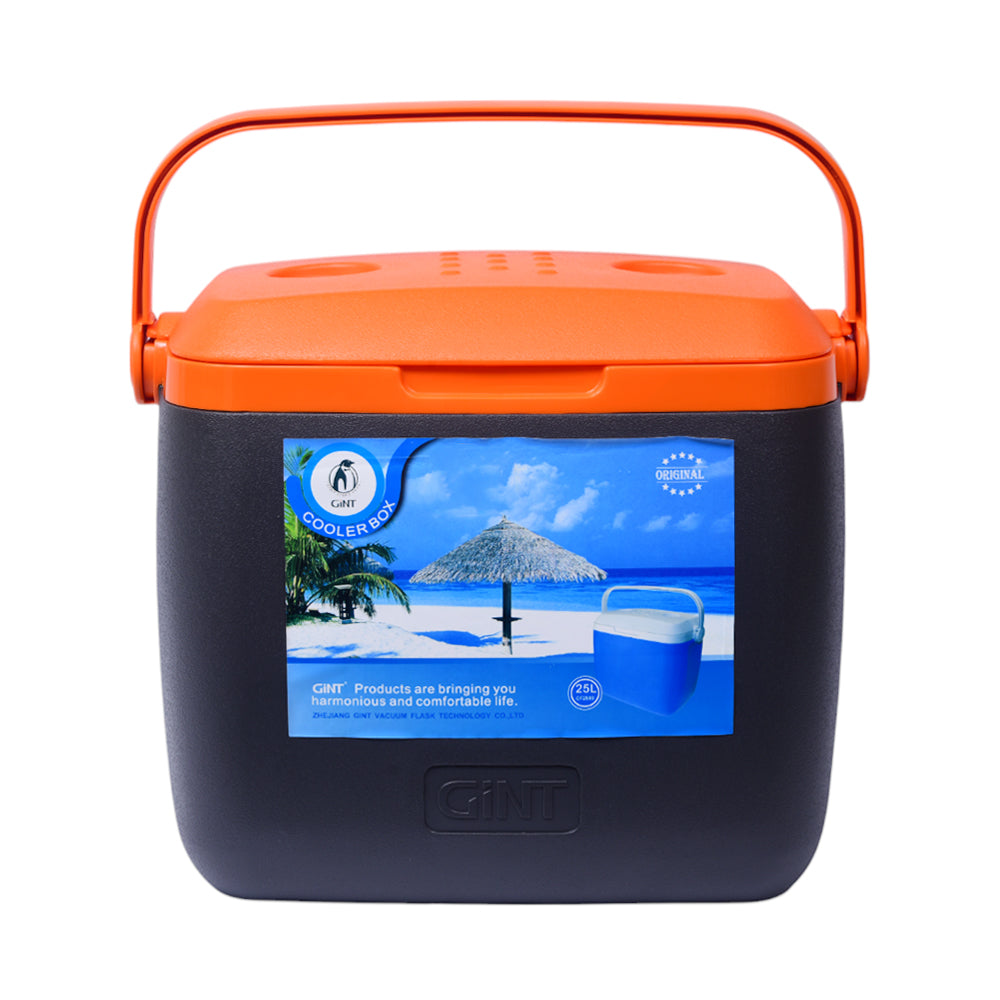 ICE BOX 25 LTR GINT CF2500