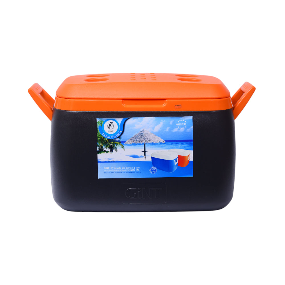 ICE BOX 38 LTR GINT CF3800
