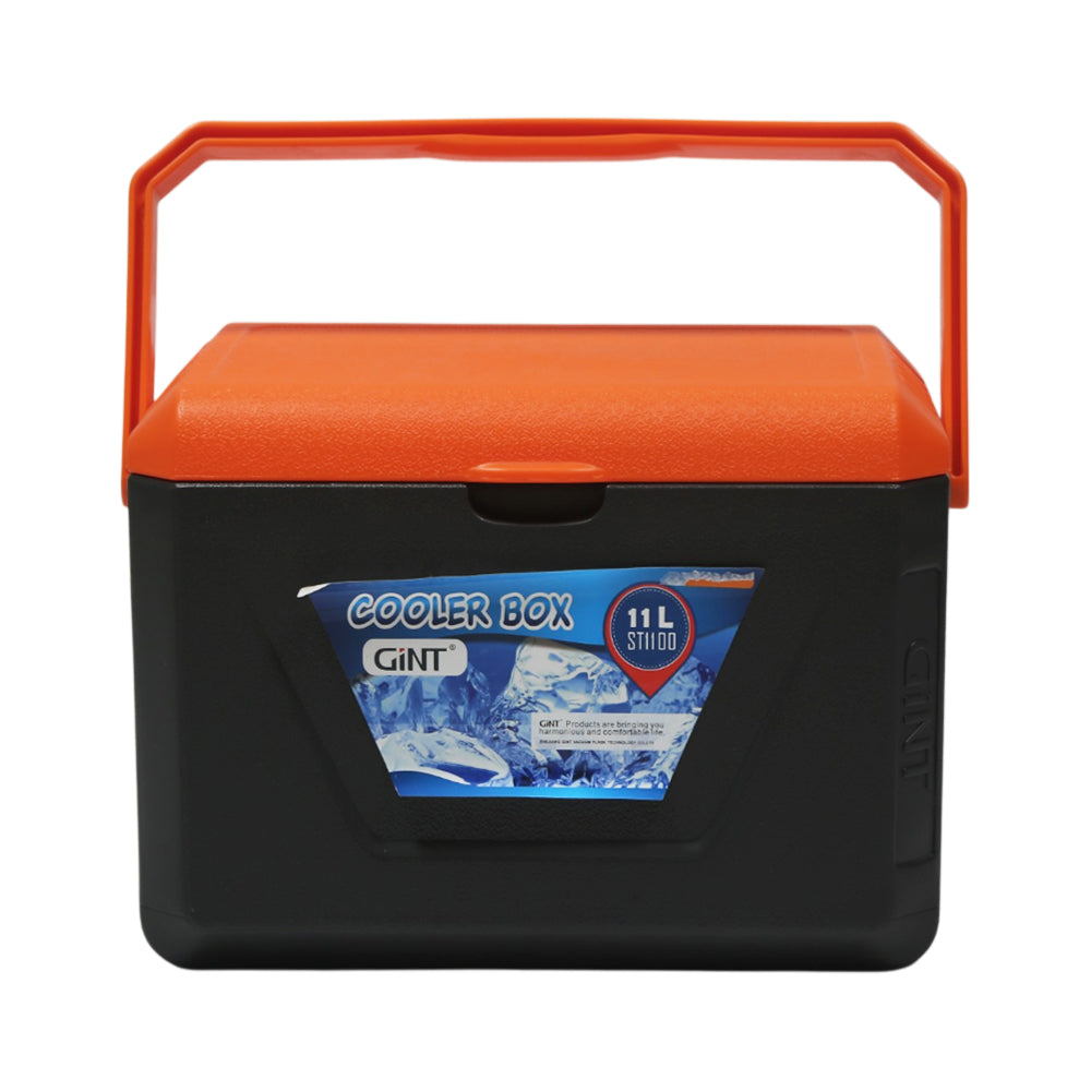 ICE BOX 11 LTR GINT CF1100