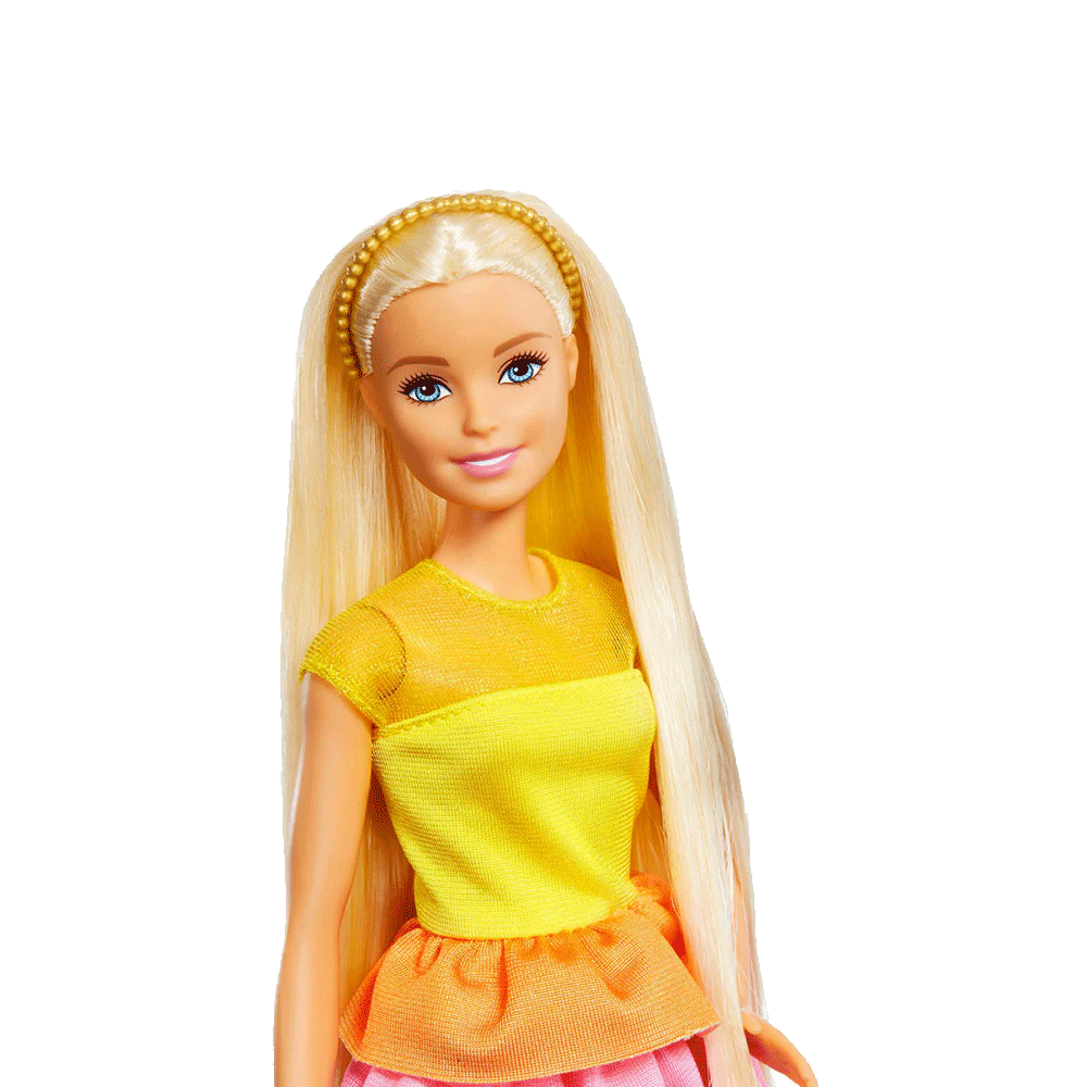 Barbie Doll W-Accessories Gbk24 Pc