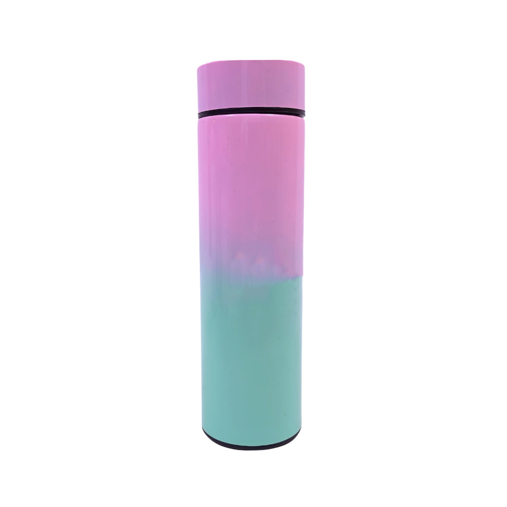 7256-CT WATER BOTTLE ASST 700ML