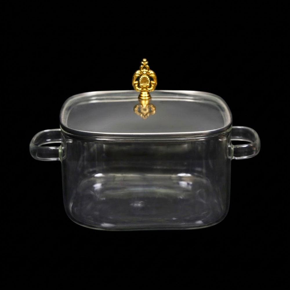 DONGA BOROSILICATE 4.0 LTR Q8778-1