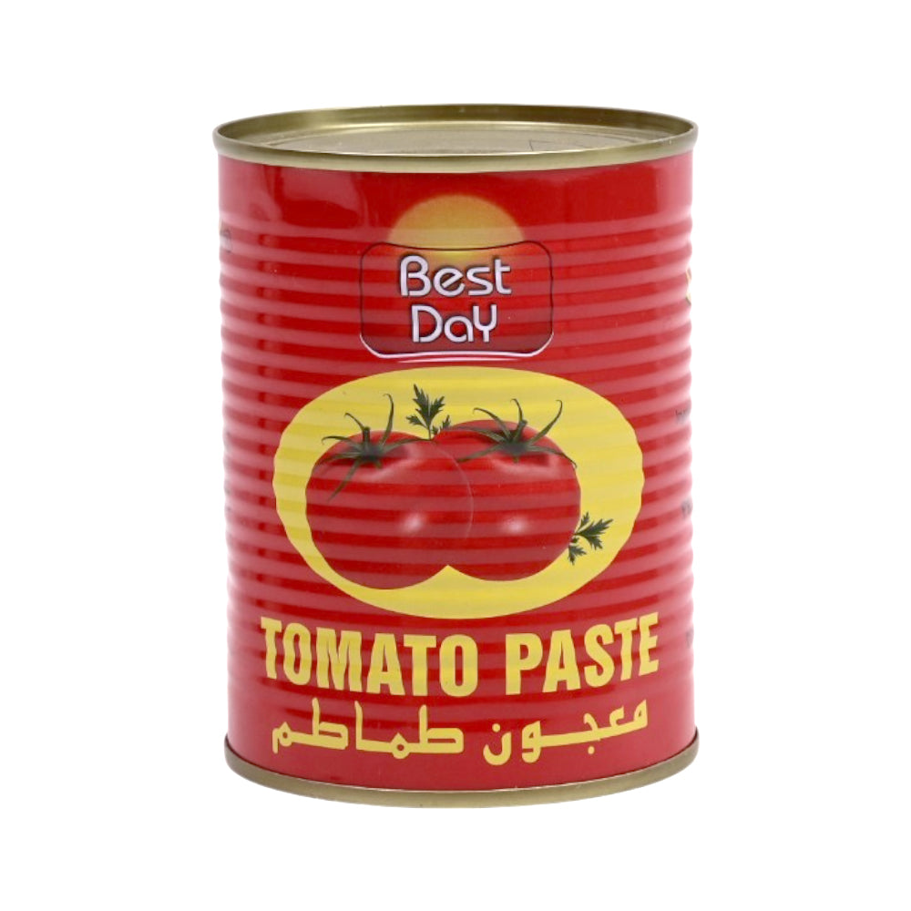 BEST DAY TOMATO PASTE TIN CHINA 400 GM