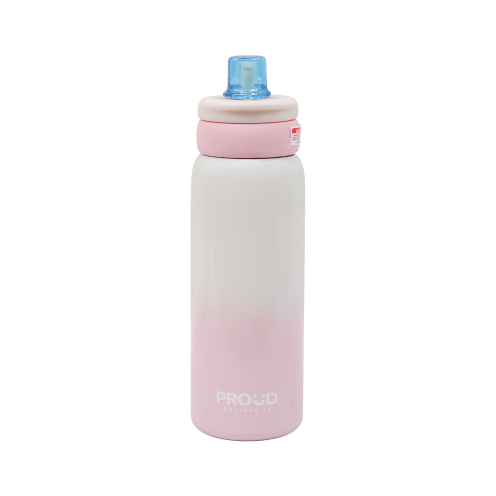 BOTTLE STEEL 680 ML IR X250W