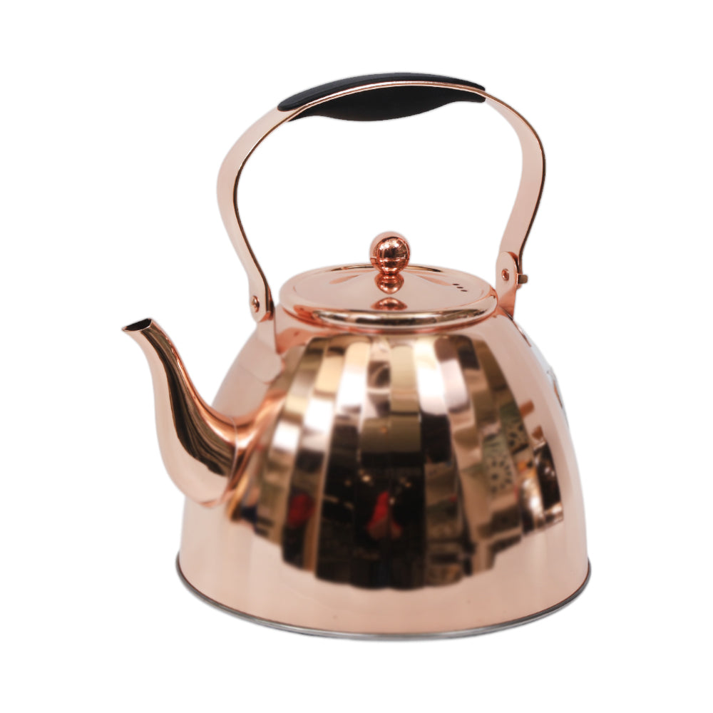 KETTLE VICALINA STEEL 3.0 LTR VL-TK04