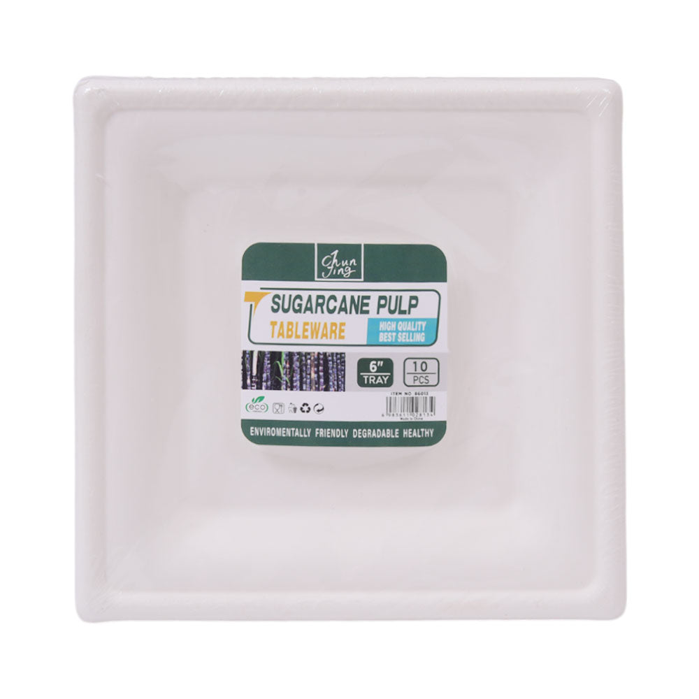 DISPOSABLE PLATE S 10PC PACK IR H-18