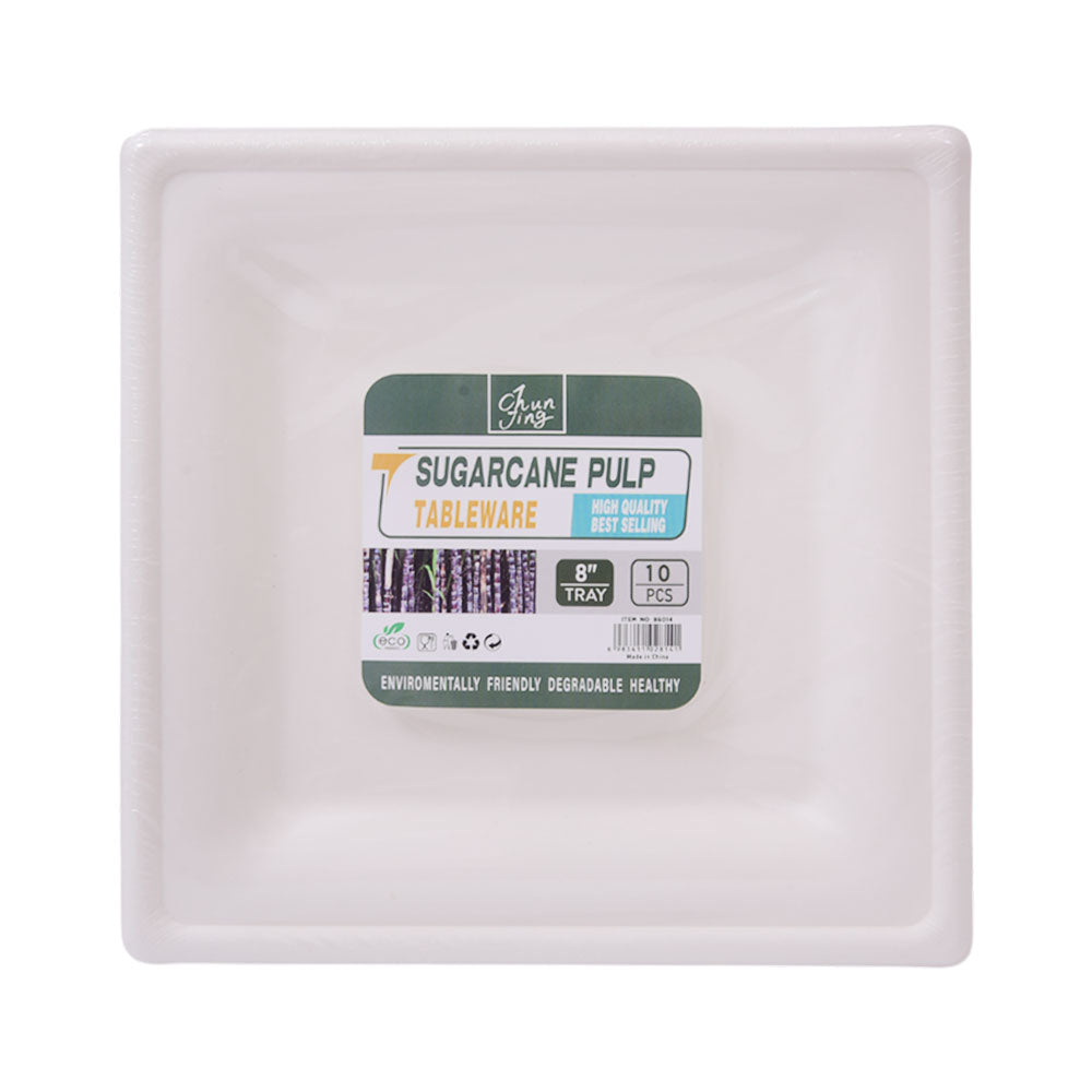 DISPOSABLE PLATE M 10PC PACK IR H-17