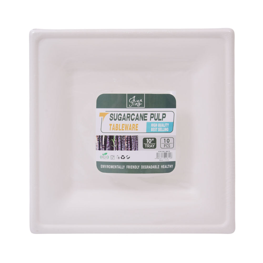DISPOSABLE PLATE L 10PC PACK IR H-16