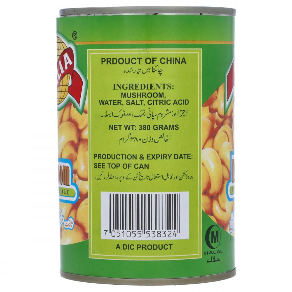 ITALIA MUSHROOM CHIOCE WHOLE TIN 380 GM