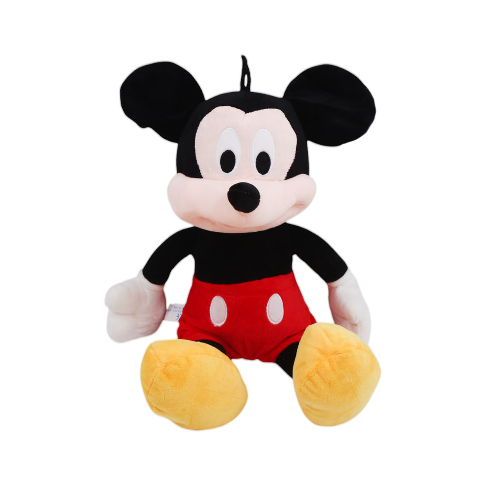 10119 SOFT MICKEY MINNIE 50CM