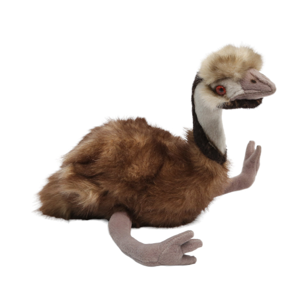 770769 Emu Ngs Soft National Geographic Basic