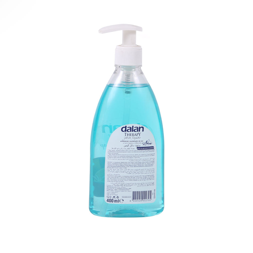 DALAN HAND WASH ANTIBACTERIAL 400 ML