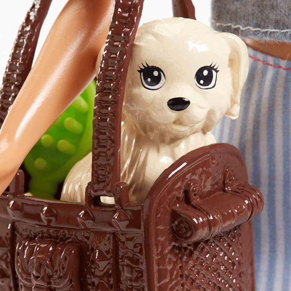 FPR48 BARBIE DOLL WITH ACC