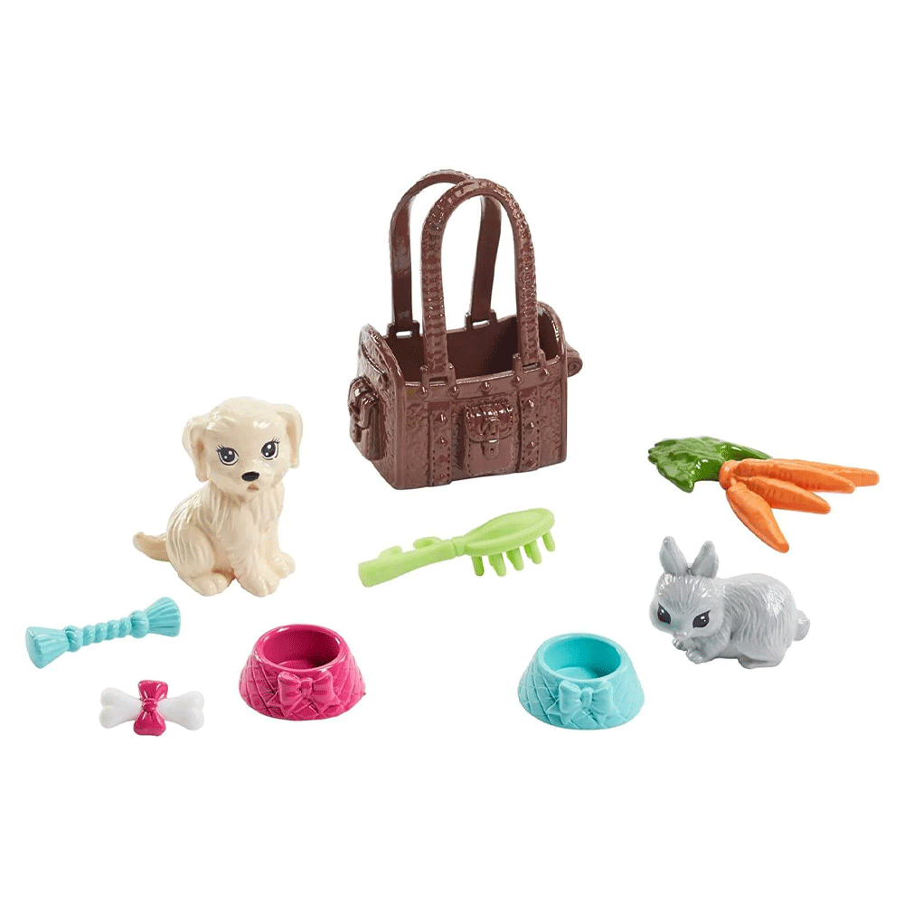 FPR48 BARBIE DOLL WITH ACC