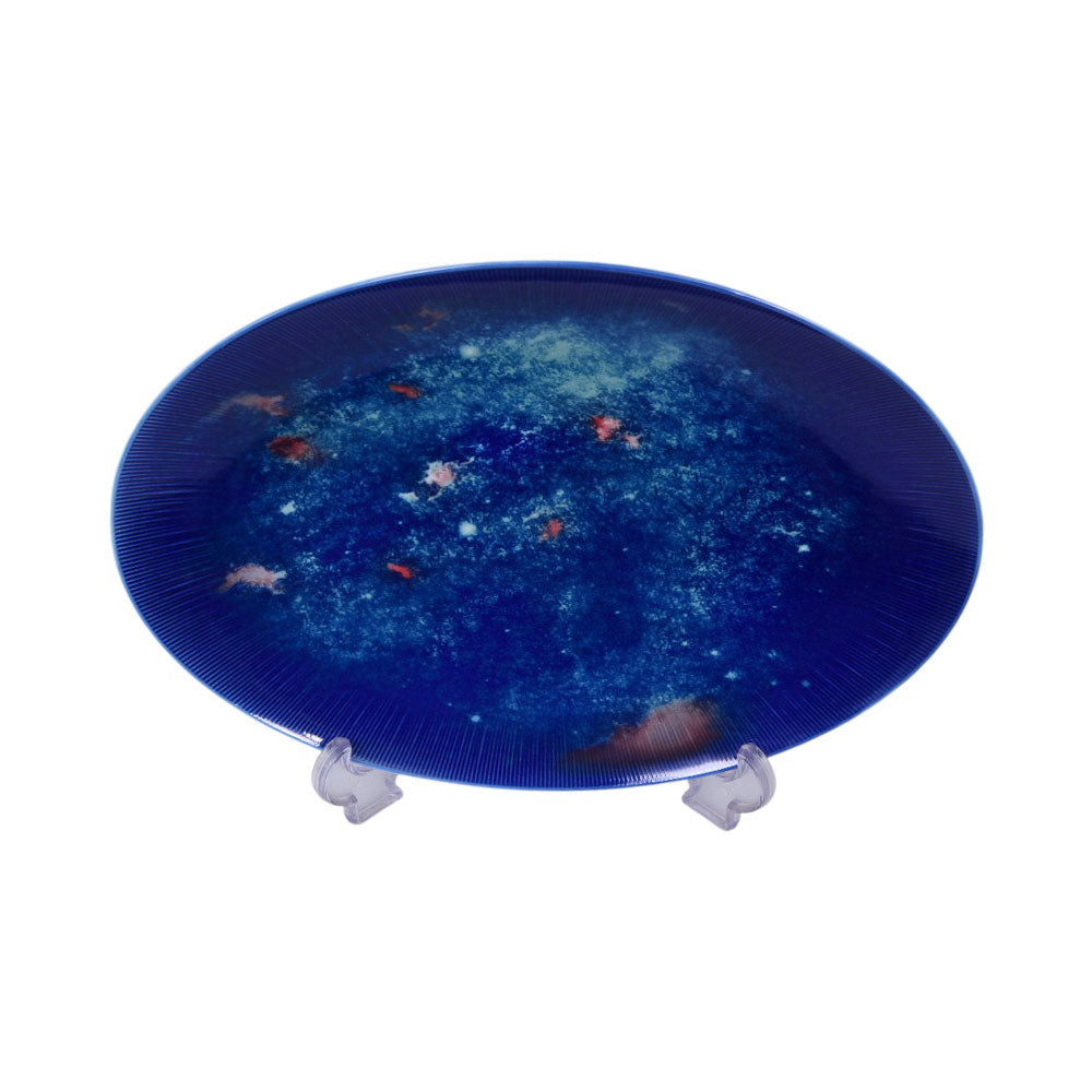 DISH ROYAL BISTRO 14.5 INCH IR C96-22P255