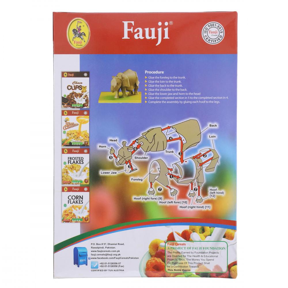 FAUJI CEREAL FRUIT RINGLETS FROOTOZ 250 GM