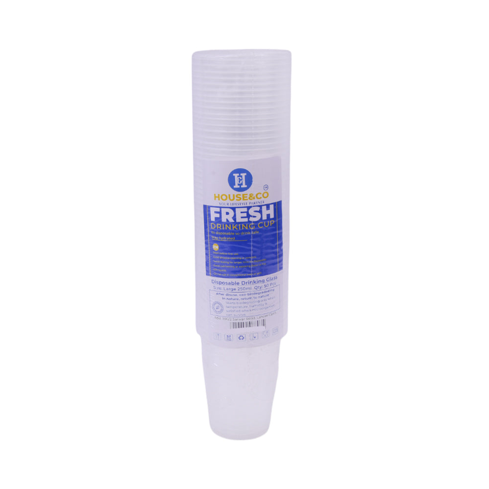 HOUSE & CO DISP PLAIN GLASS CLR LARGE 50PCS