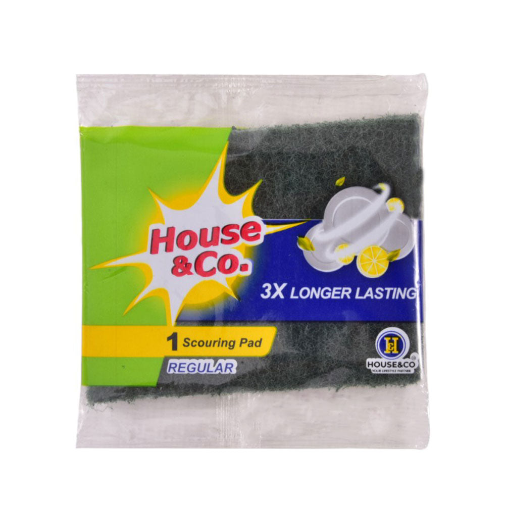 HOUSE&CO. SCOURING PAD REGULAR 1PCS