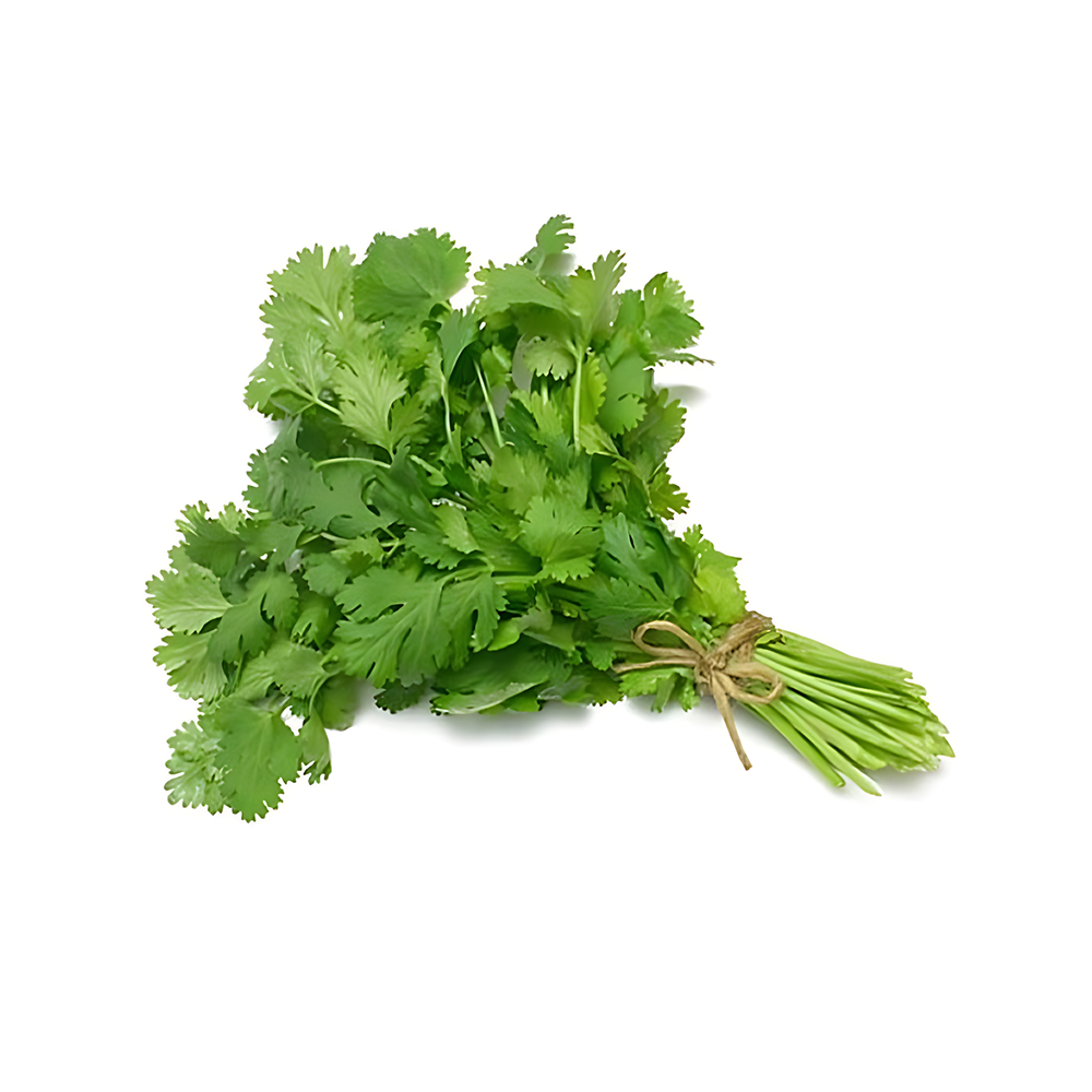 CORIANDER(DHANIYA) 1 KG TO 250 GM
