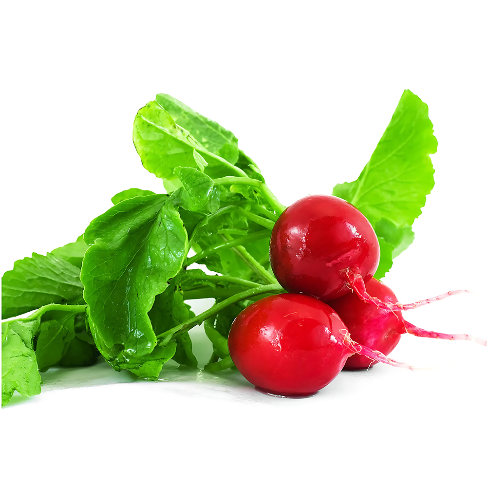 RED RADISH(Laal mooli) (Bunch)