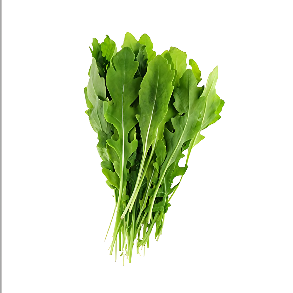 ROCKET LEAVE (Bunch)