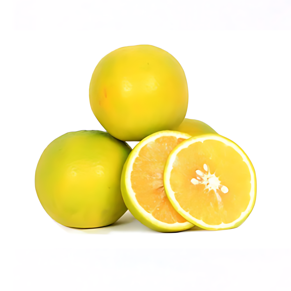 SWEET LIME(Mitha Santra) Dzn