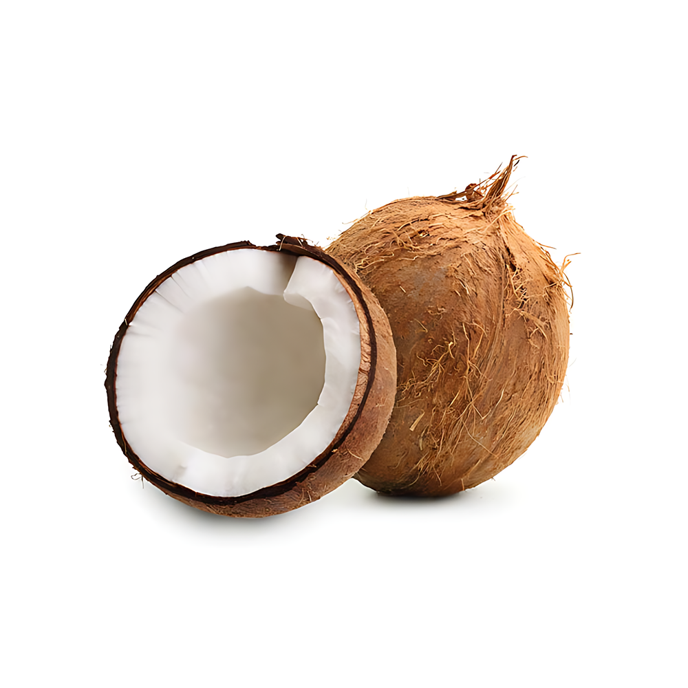 COCONUT(Nariyal)(PC)