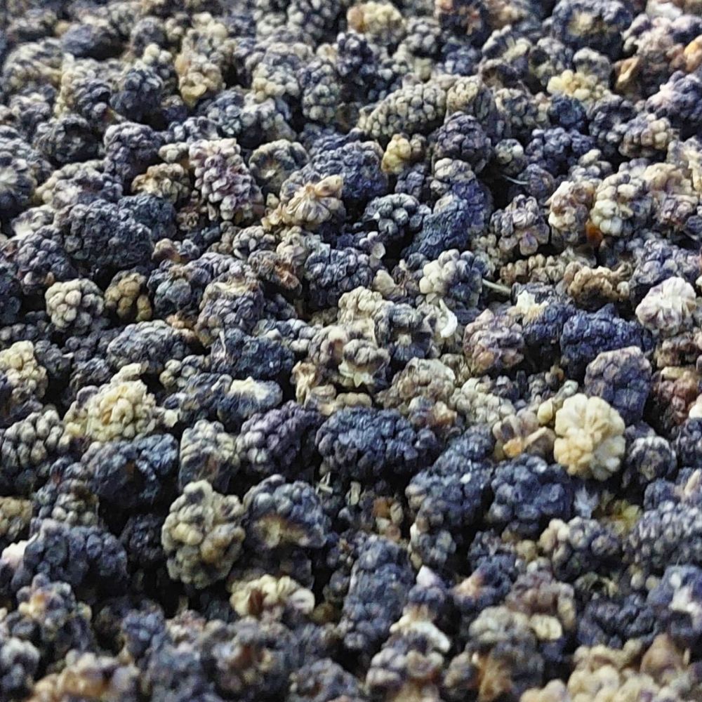 MULBERRY KABLI LOOSE