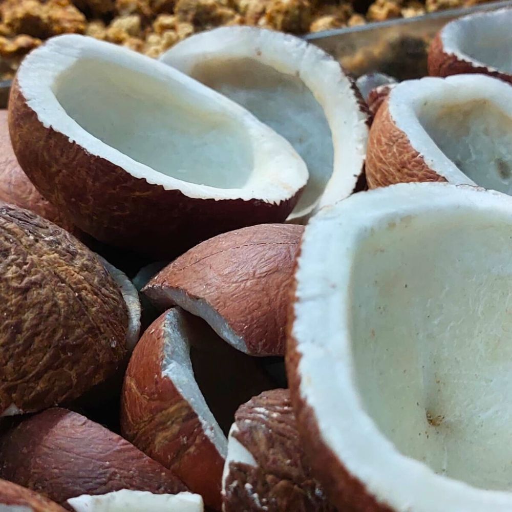 COCONUT WHOLE LOOSE