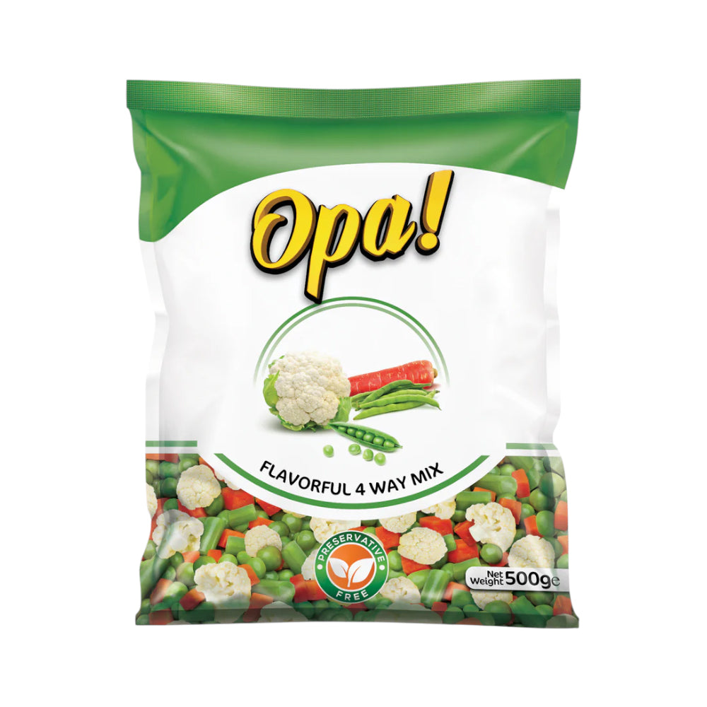 FAUJI FRESH AND FREEZE 4 WAY MIX 500GM