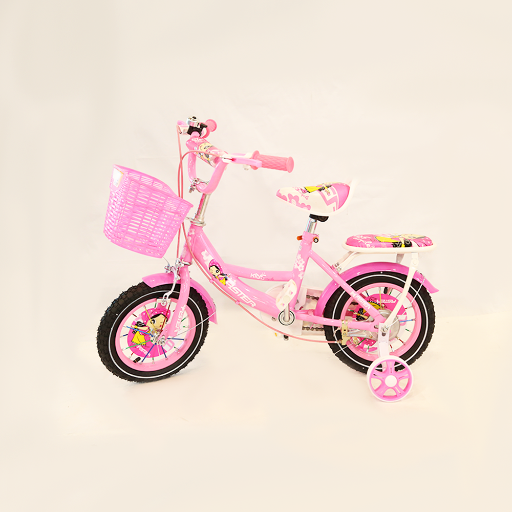 Aster Pink Bicycle