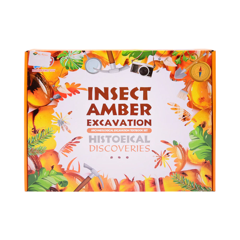 1123G INSECT AMBER EXCAVATION