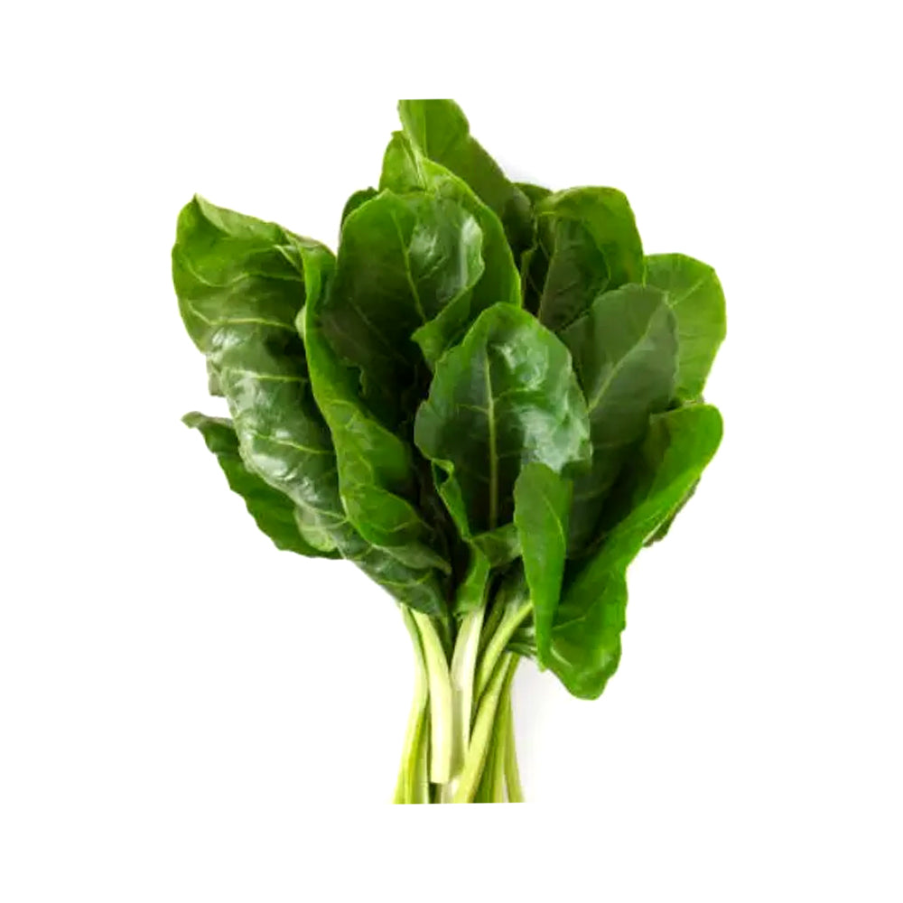ZEEZ GARDEN SWISS CHARD.