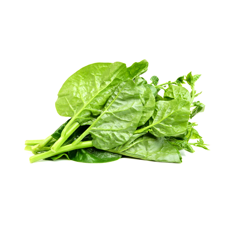 ZEEZ GARDEN MALABAR SPINACH.