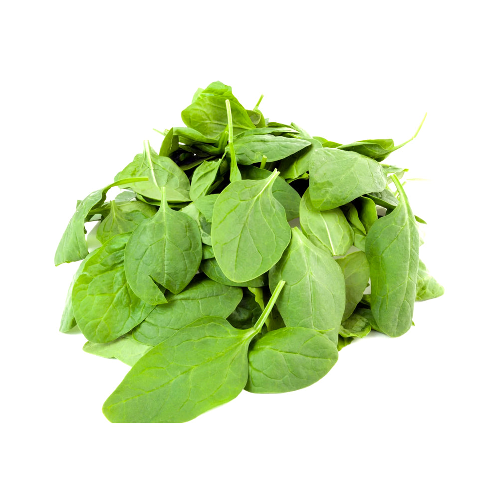 ZEEZ GARDEN BABY SPINACH.