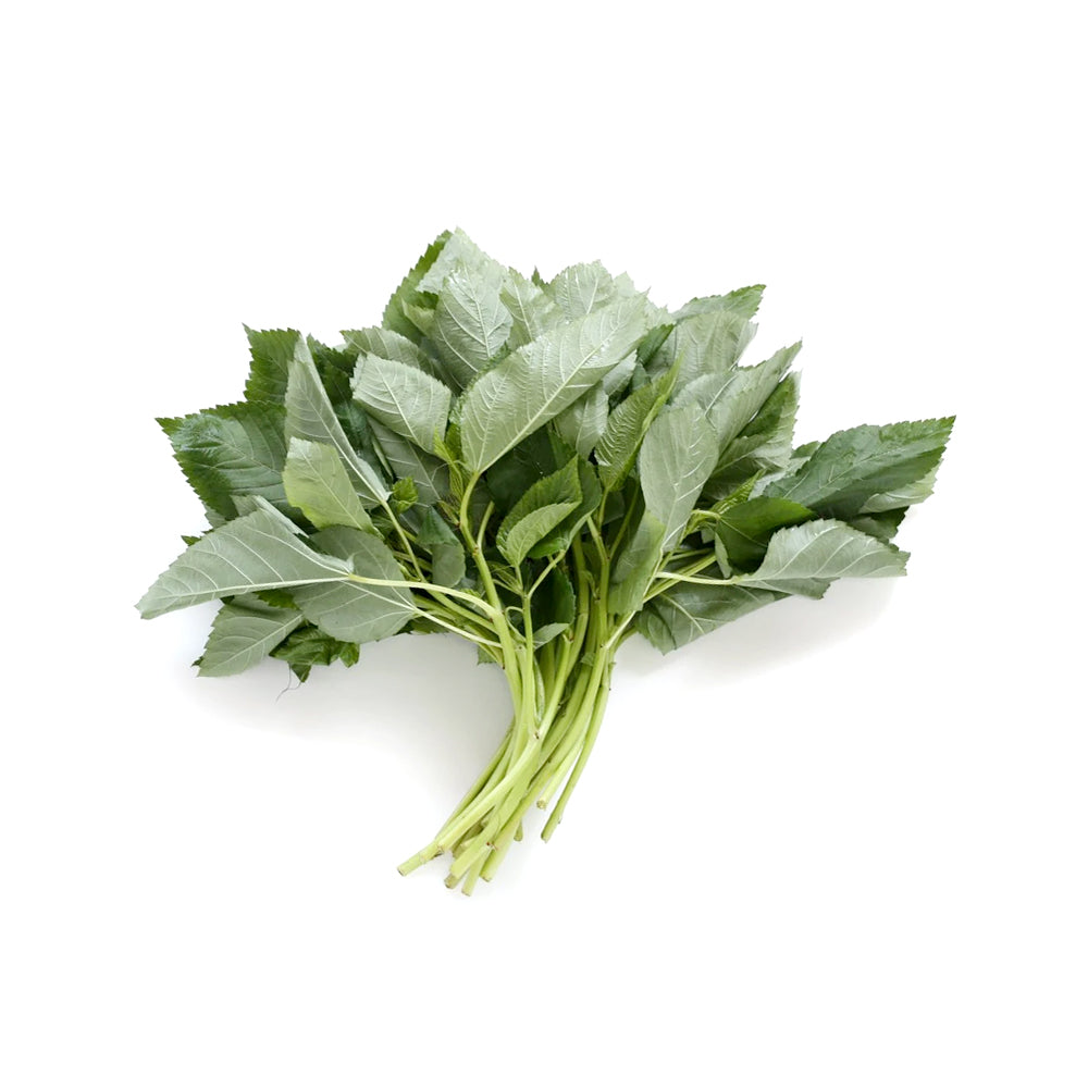 ZEEZ GARDEN EGYPTIAN SPINACH.