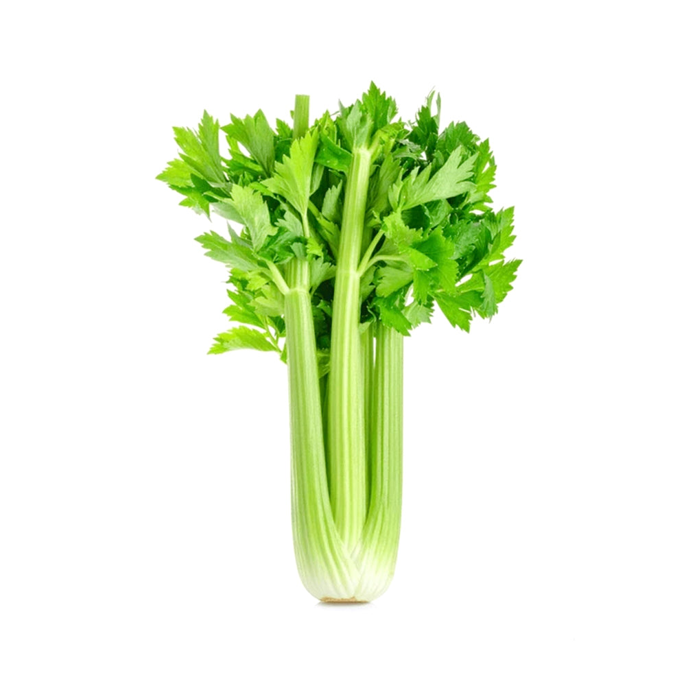 ZEEZ GARDEN CELERY.