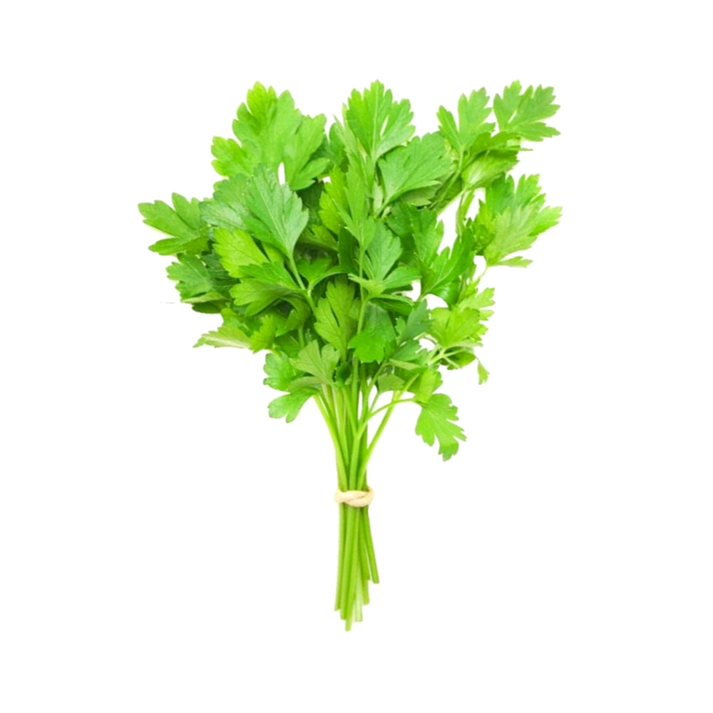 ZEEZ GARDEN PARSLEY.