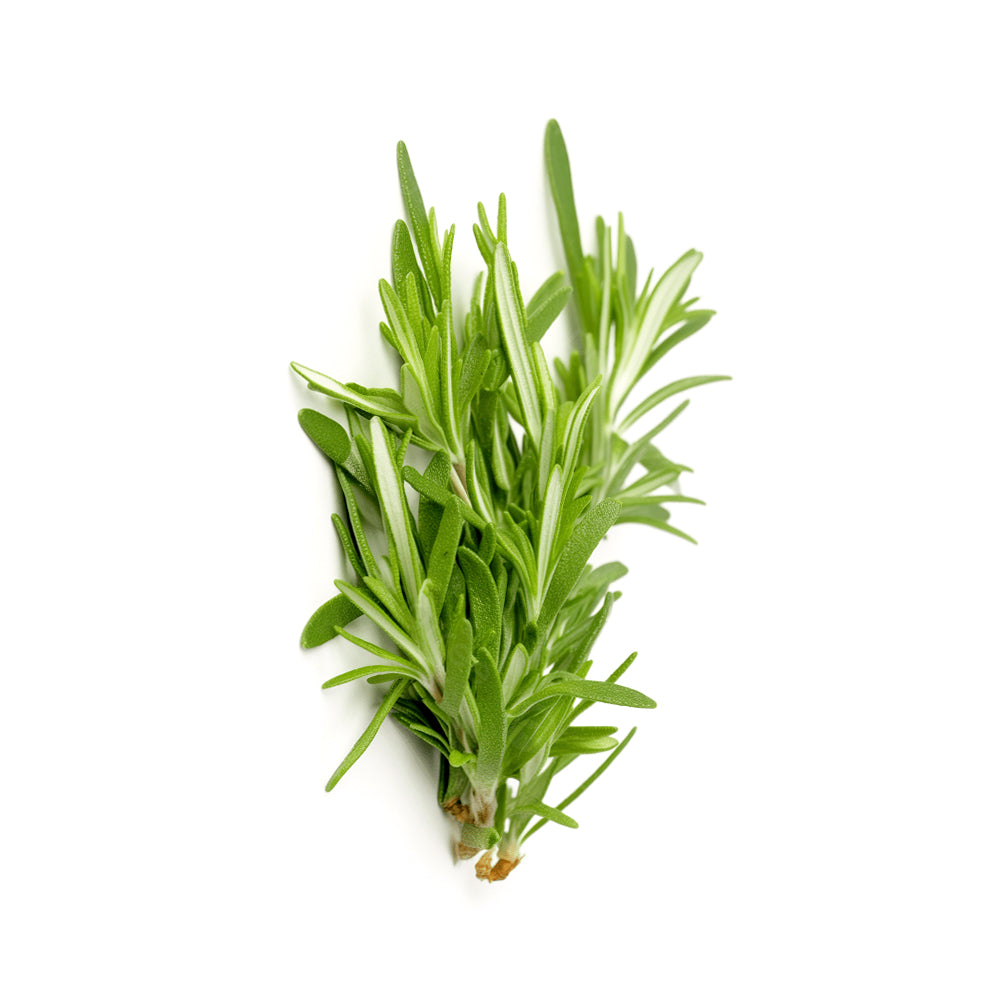 ZEEZ GARDEN ROSEMARY.