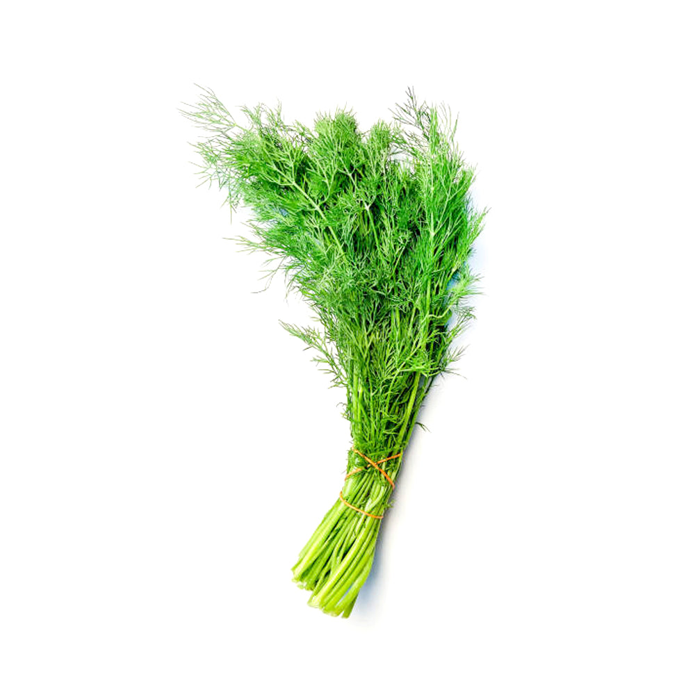 ZEEZ GARDEN DILL.
