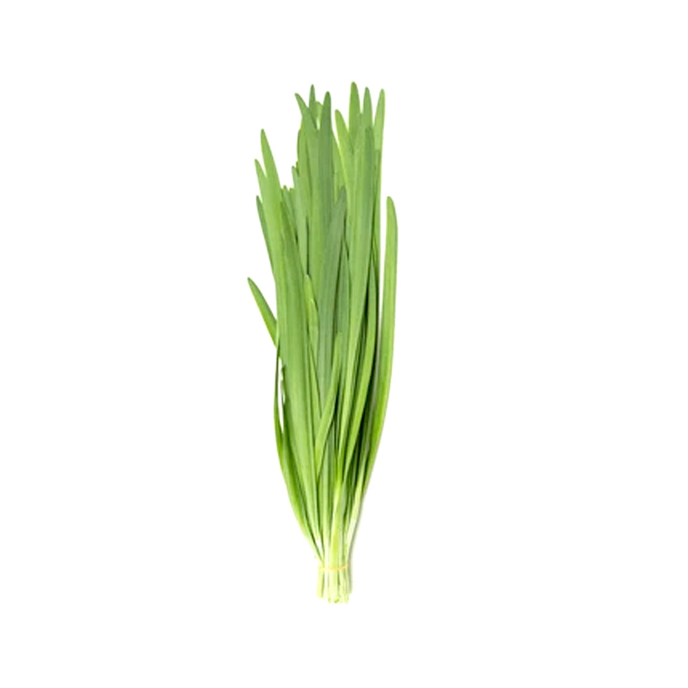 ZEEZ GARDEN CHIVES.