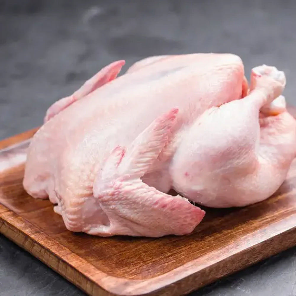 ALF SKIN CHICKEN