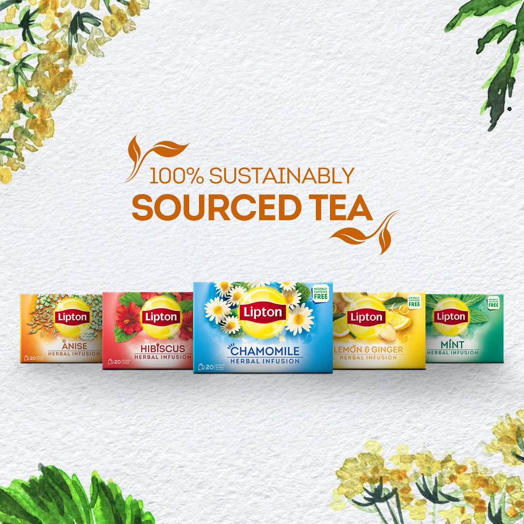 LIPTON INFUSIONS ANISE TEA BAG 20S