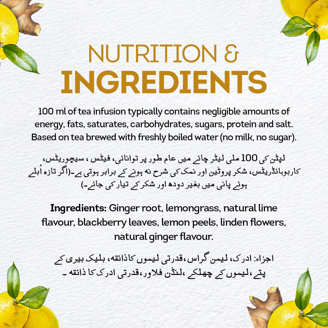 LIPTON INFUSIONS LEMON &GINGER 20S