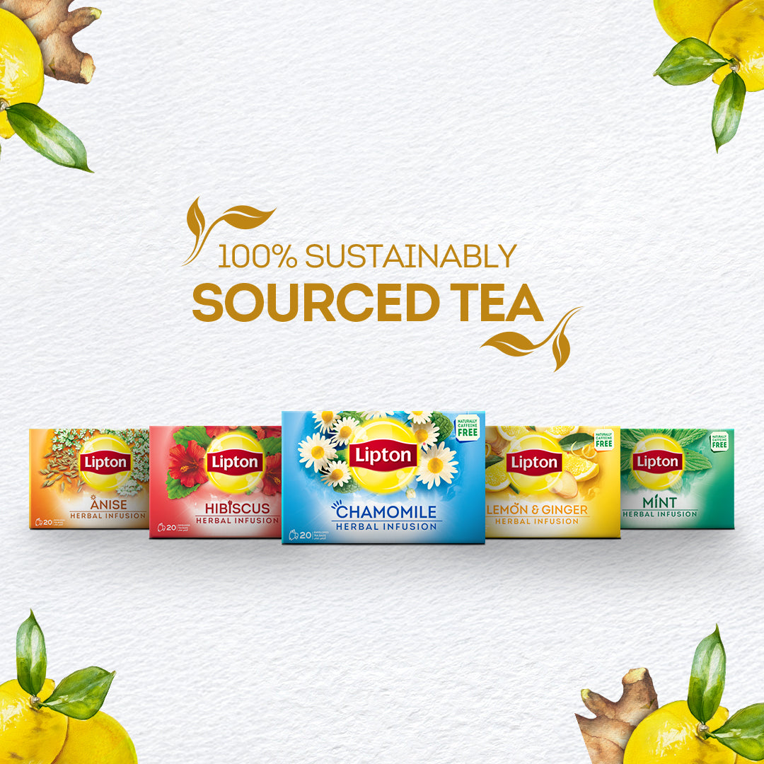 LIPTON INFUSIONS LEMON &GINGER 20S