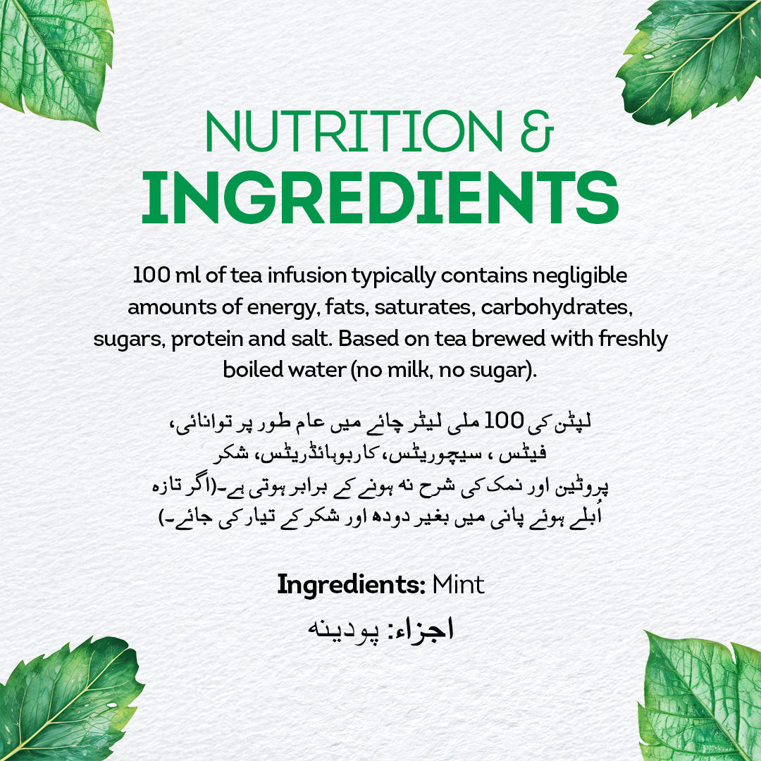 LIPTON INFUSIONS MINT TEA BAG 20S